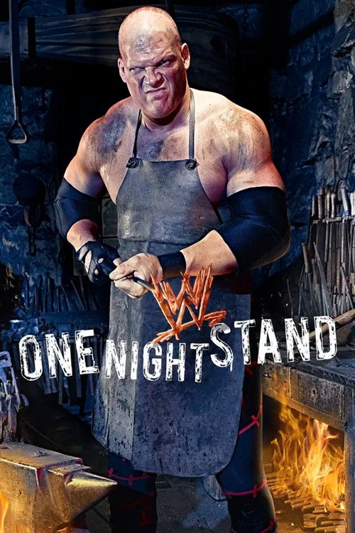 Постер фильма «WWE One Night Stand 2008»