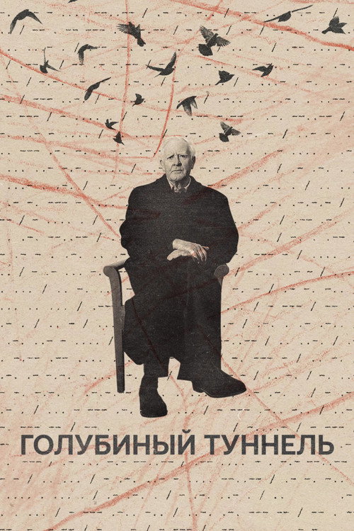 Постер фильма «Голубиный туннель»