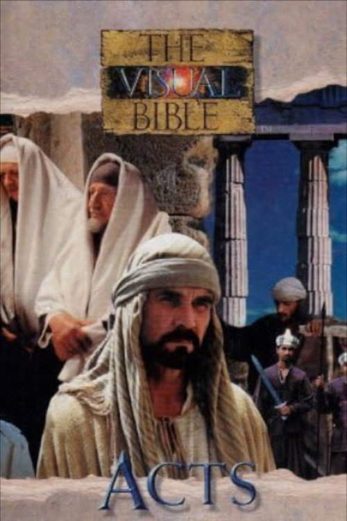 Постер фильма «The Visual Bible: Acts»