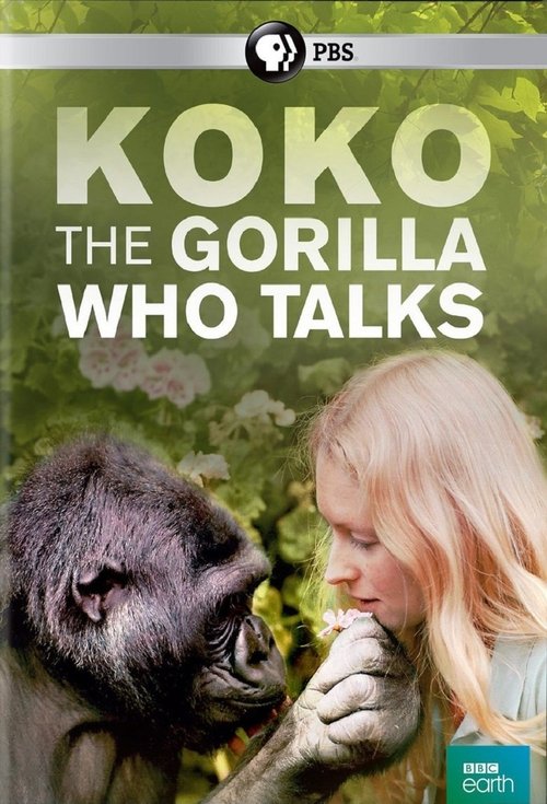 Постер фильма «Koko: The Gorilla Who Talks to People»