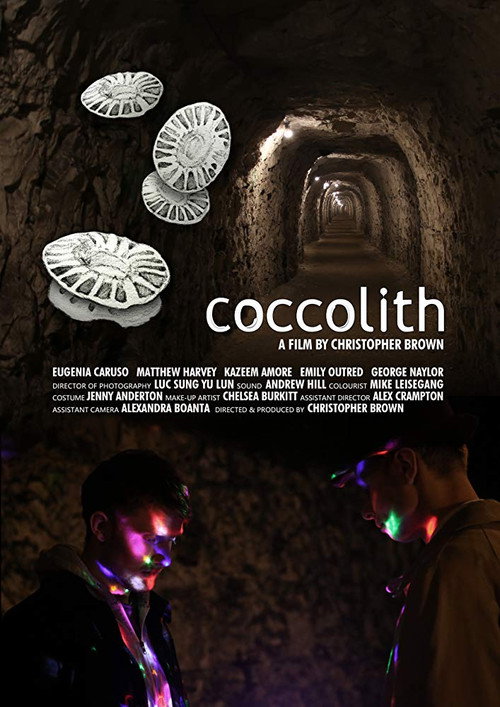 Постер фильма «coccolith»