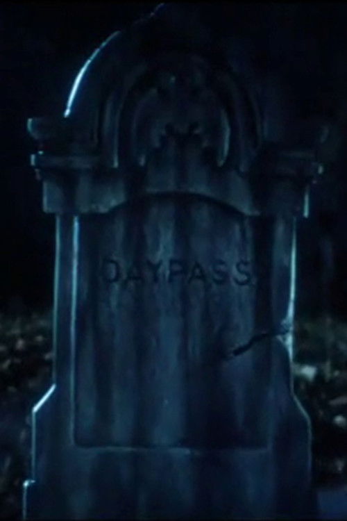 Постер фильма «Daypass»