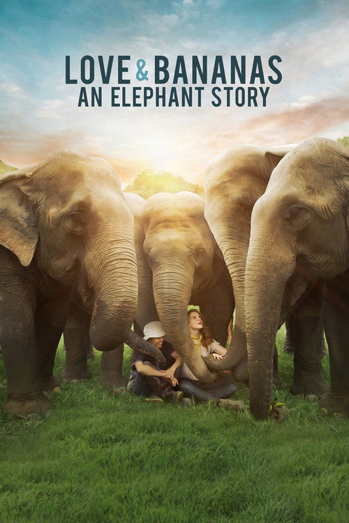 Постер фильма «Love & Bananas: An Elephant Story»