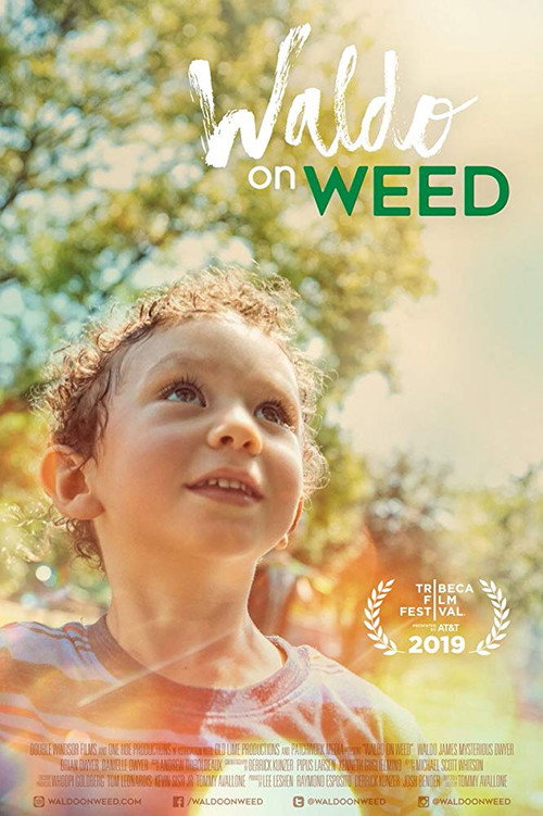 Постер фильма «Waldo on Weed»
