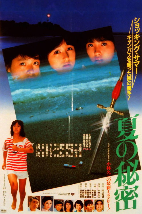 Постер фильма «夏の秘密»