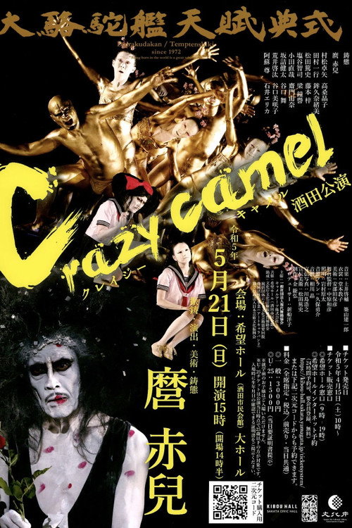 Постер фильма «Crazy Camel»