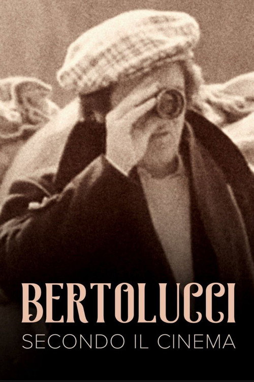 Постер фильма «Bertolucci secondo il cinema»
