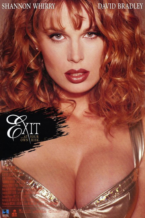Постер фильма «Exit»