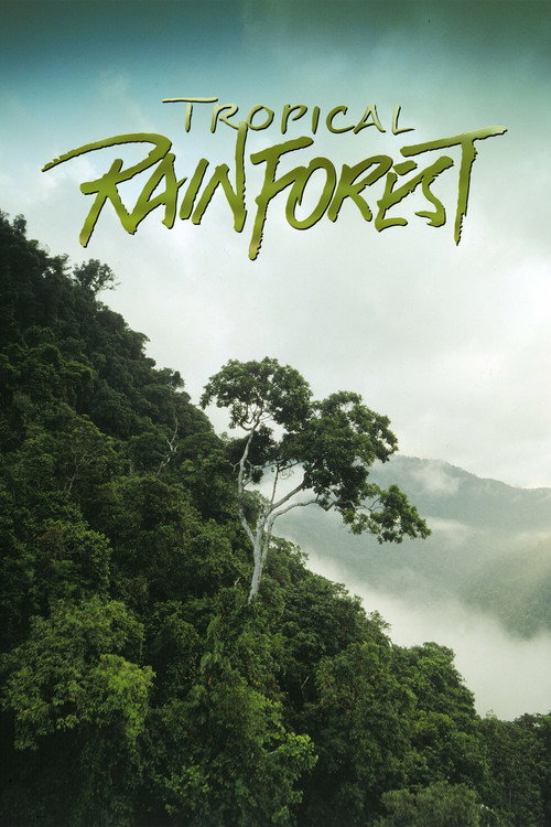Постер фильма «Tropical Rainforest»