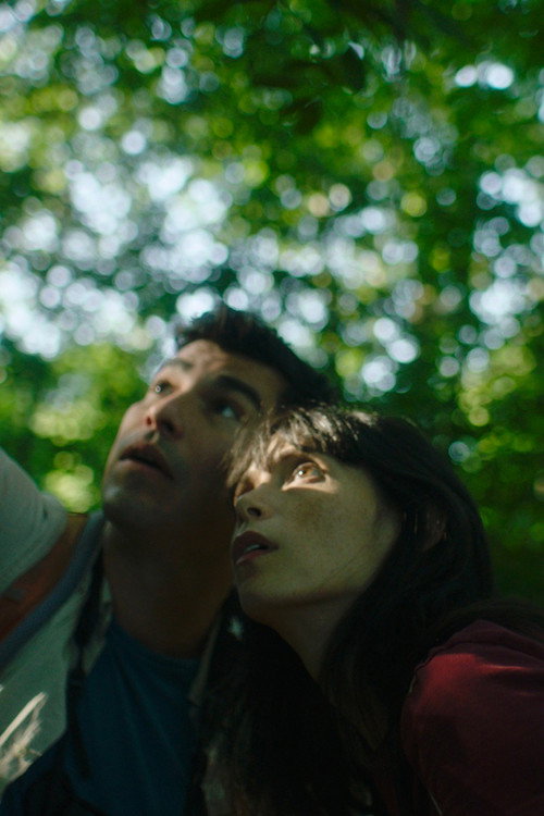 Постер фильма «A Bird Came Down»