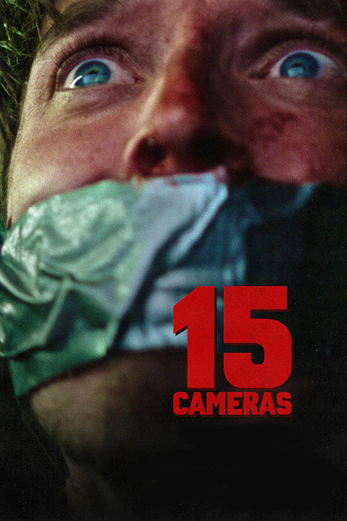 Постер фильма «15 камер»