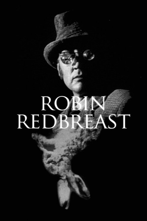 Постер фильма «Robin Redbreast»