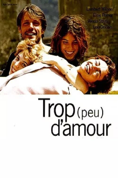 Постер фильма «Trop (peu) d'amour»