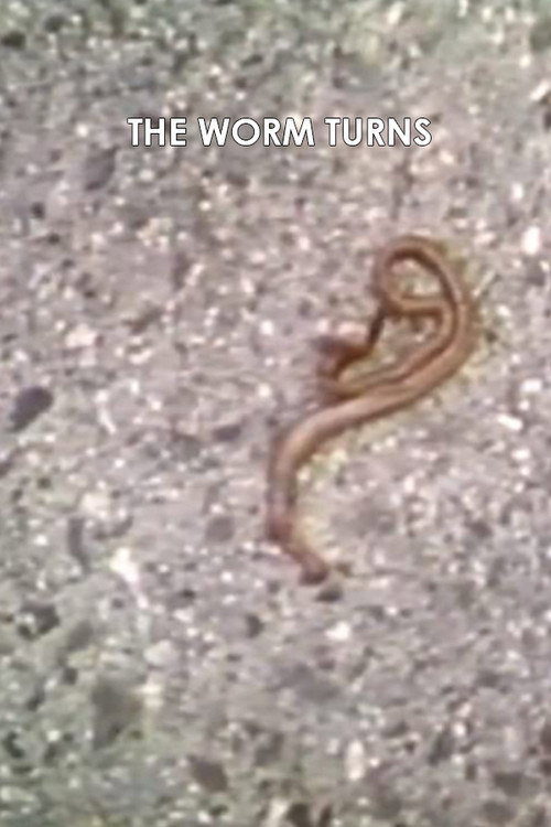Постер фильма «The Worm Turns»