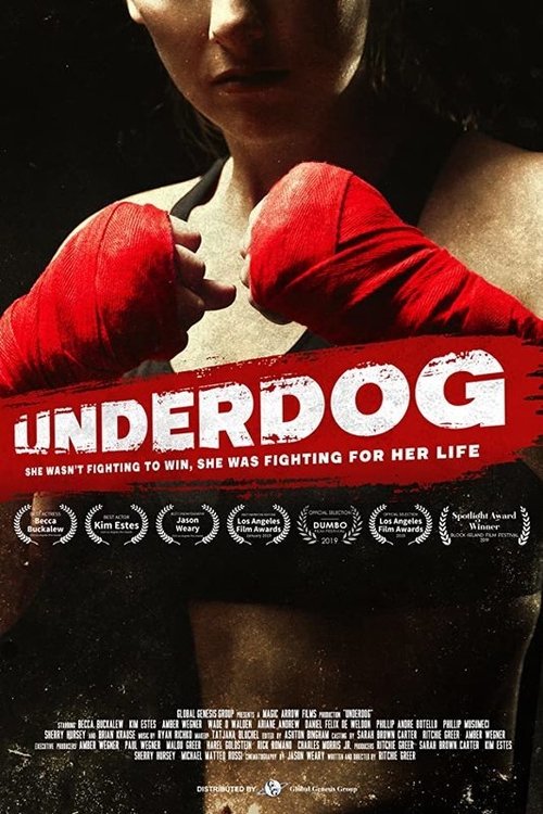 Постер фильма «Underdog»