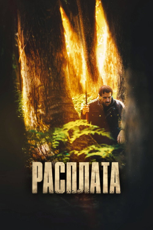 Постер фильма «Расплата»