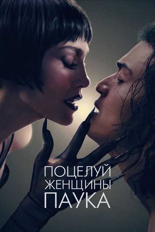 Постер фильма «Поцелуй женщины-паука»