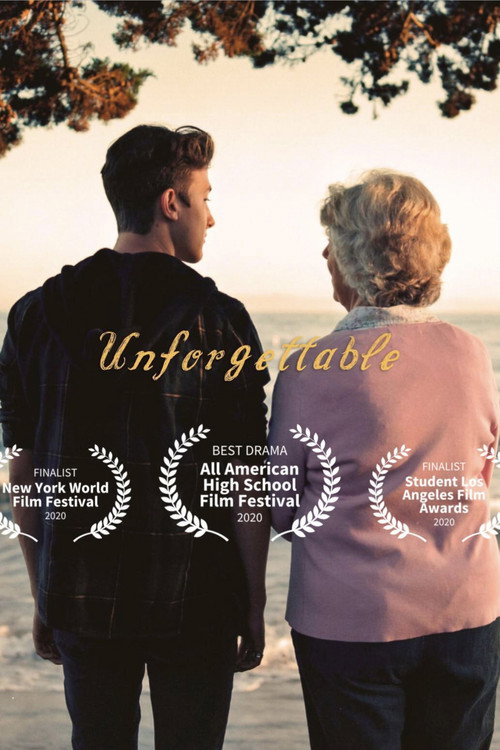 Постер фильма «Unforgettable»