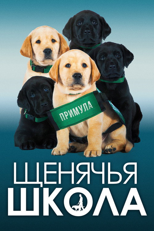 Постер фильма «Щенячья школа»