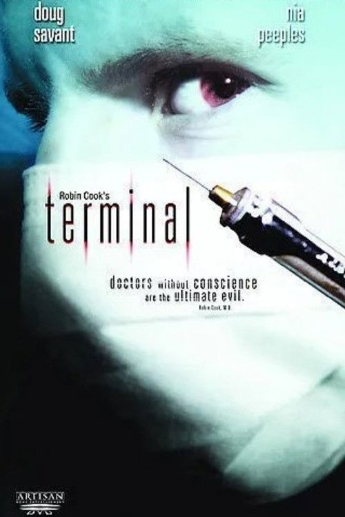 Постер фильма «Terminal»
