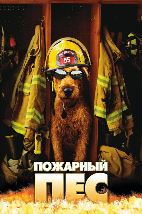 Постер фильма «Пожарный пёс»