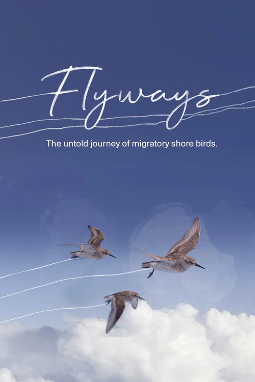 Постер фильма «Flyways: The Untold Journey of Migratory Shorebirds»