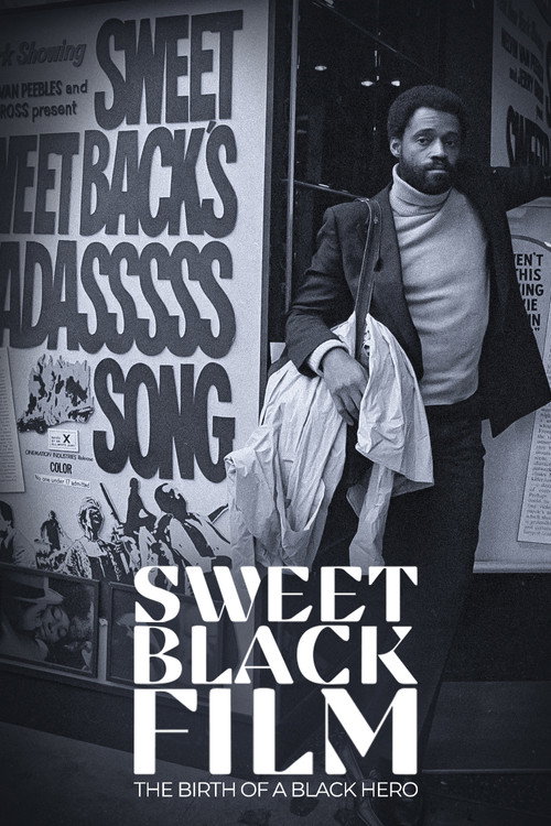 Постер фильма «Naissance d'un héros noir au cinéma : Sweet Sweetback»