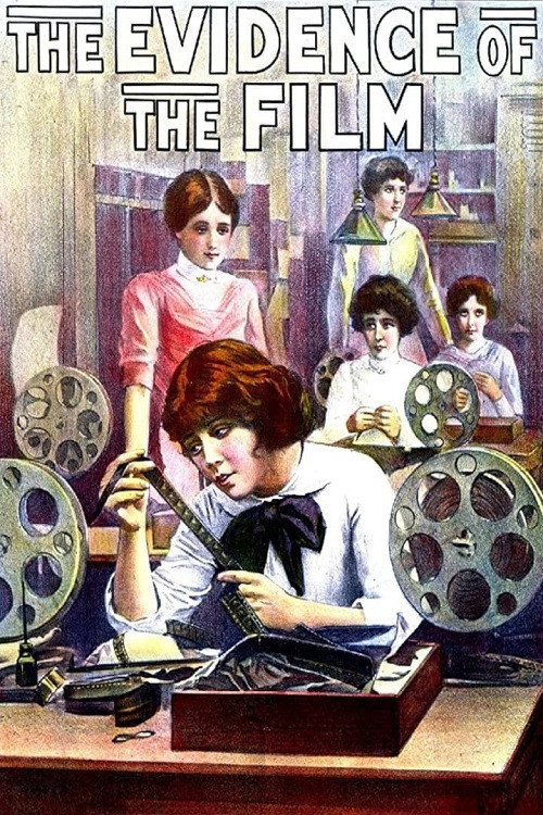 Постер фильма «The Evidence of the Film»