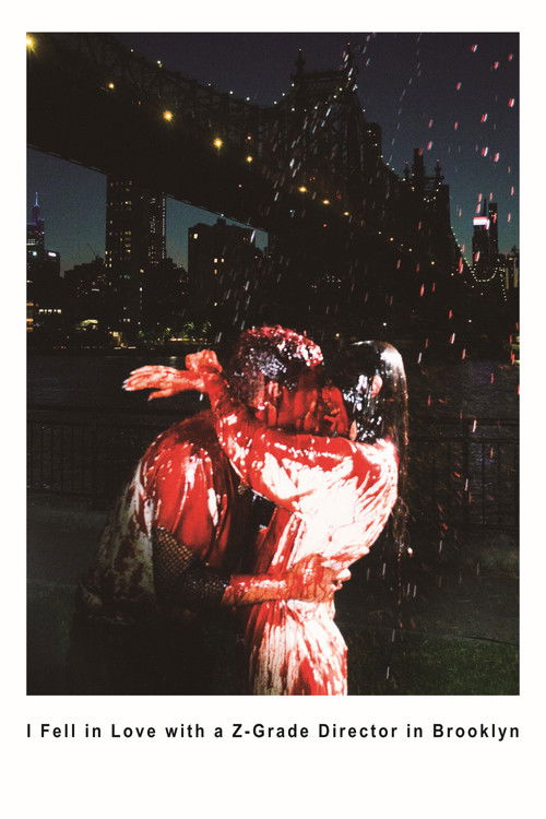 Постер фильма «I Fell in Love with a Z-Grade Director in Brooklyn»