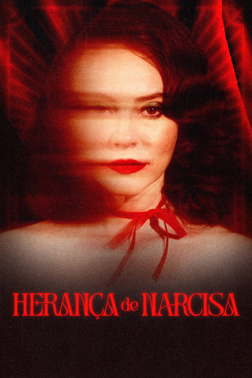 Постер фильма «Herança de Narcisa»