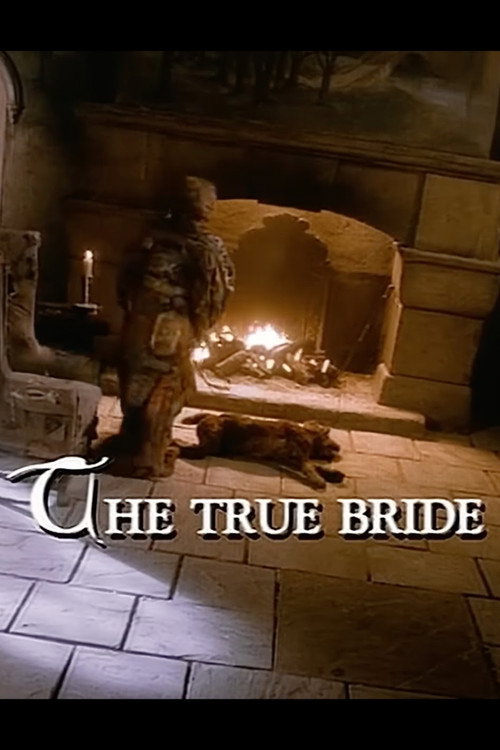 Постер фильма «The Storyteller: The True Bride»