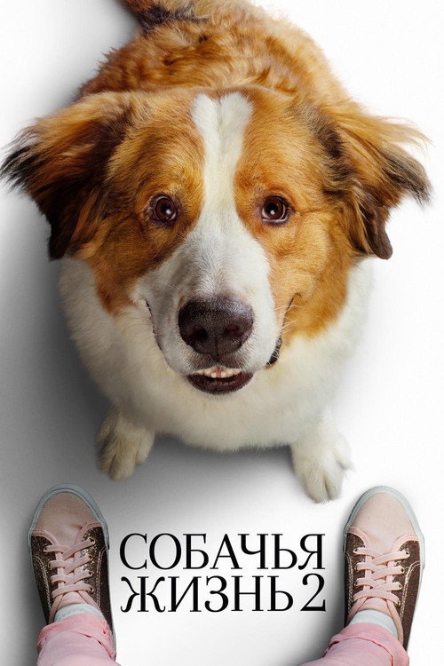 Постер фильма «Собачья жизнь 2»