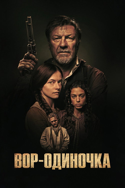 Постер фильма «Вор-одиночка»