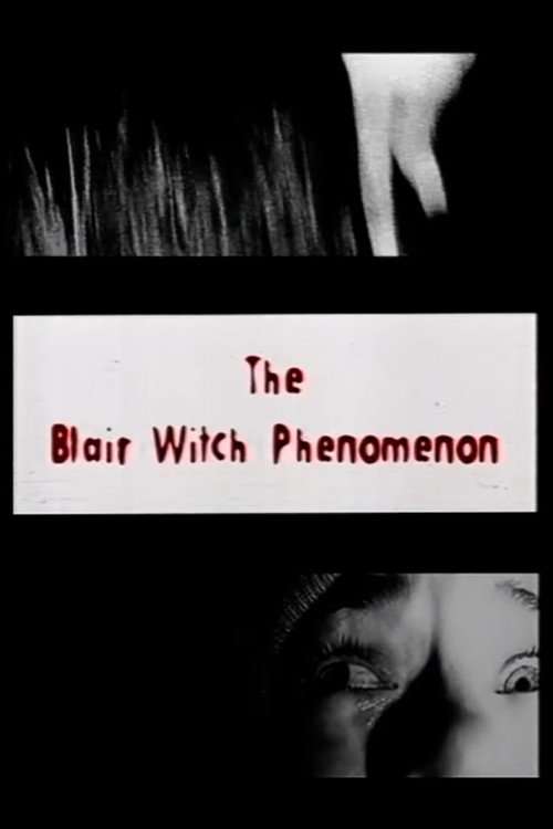 Постер фильма «The Blair Witch Phenomenon»