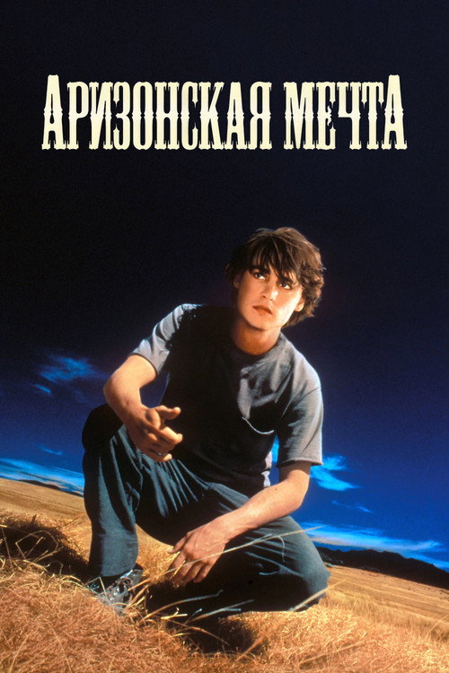 Постер фильма «Аризонская мечта»