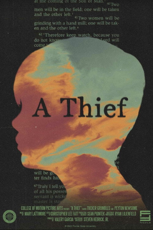 Постер фильма «A Thief»