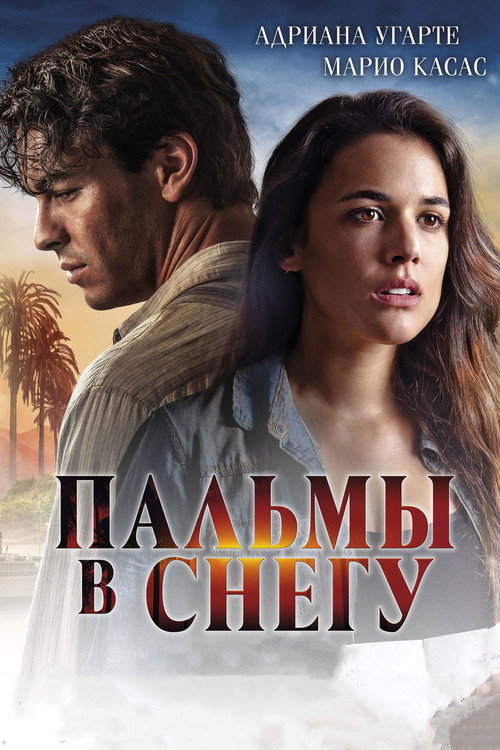 Постер фильма «Пальмы в снегу»