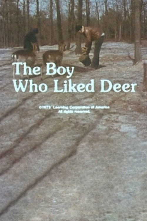 Постер фильма «The Boy Who Liked Deer»