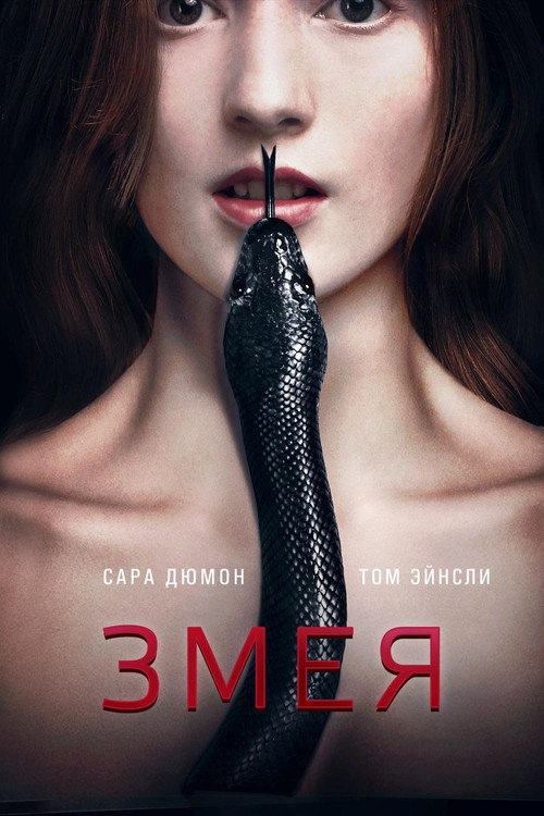 Постер фильма «Змея»