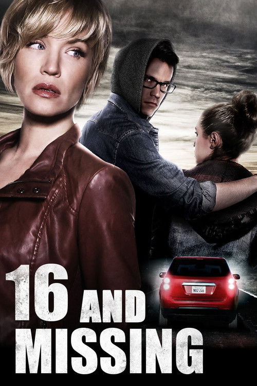 Постер фильма «16 and Missing»