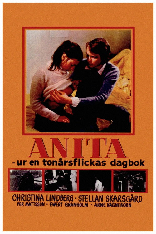 Постер фильма «Анита: Дневник девушки-подростка»
