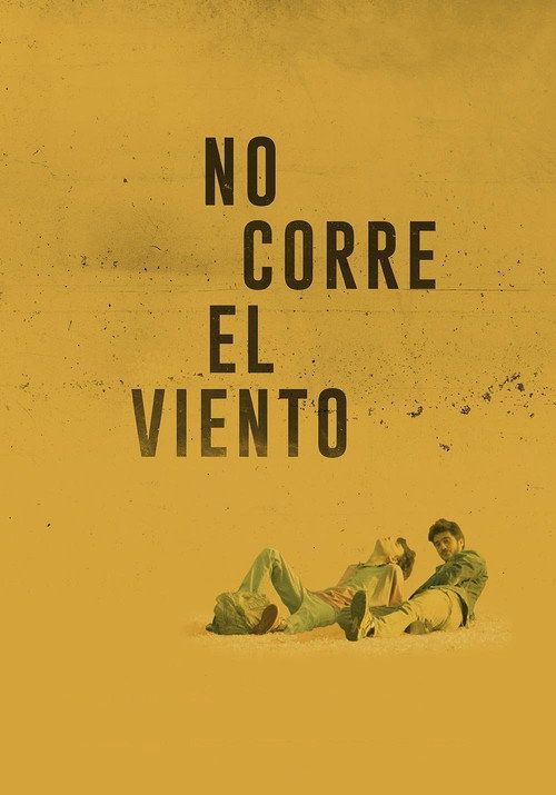 Постер фильма «No corre el viento»
