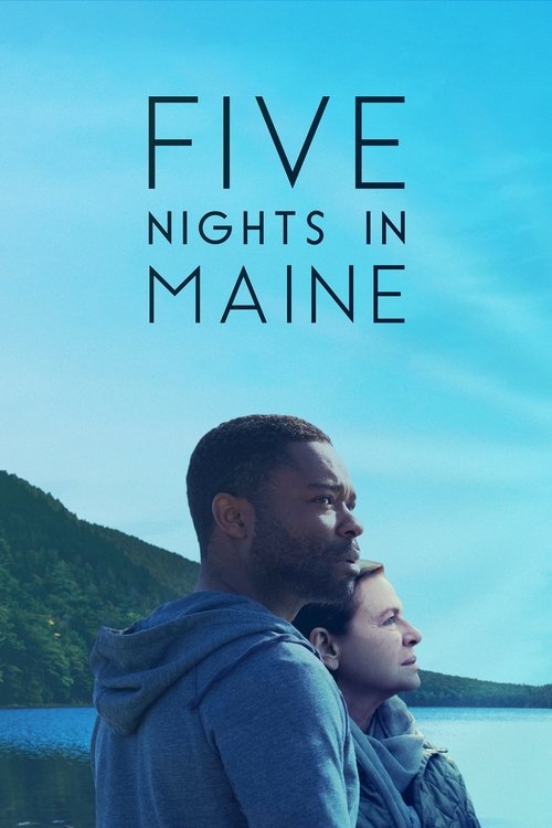 Постер фильма «Five Nights in Maine»