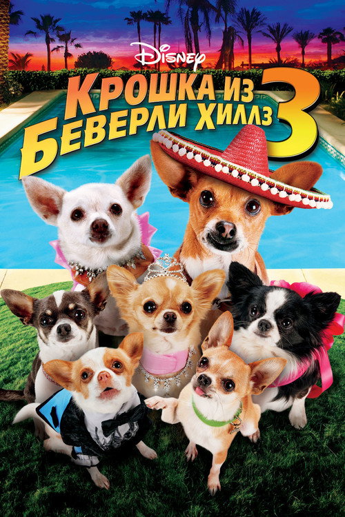 Постер фильма «Крошка из Беверли-Хиллз 3»