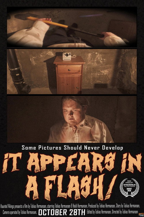 Постер фильма «It Appears in a Flash!»