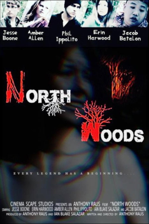 Постер фильма «North Woods»