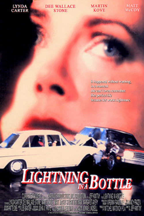 Постер фильма «Lightning in a Bottle»