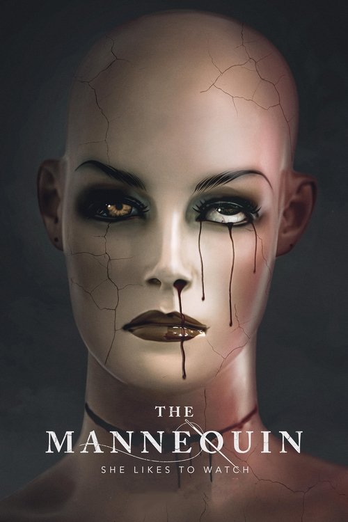 Постер фильма «The Mannequin»