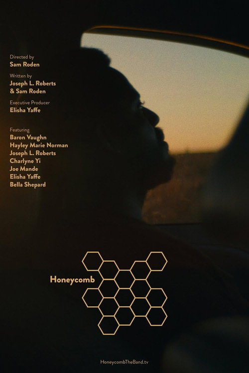 Постер фильма «Honeycomb»