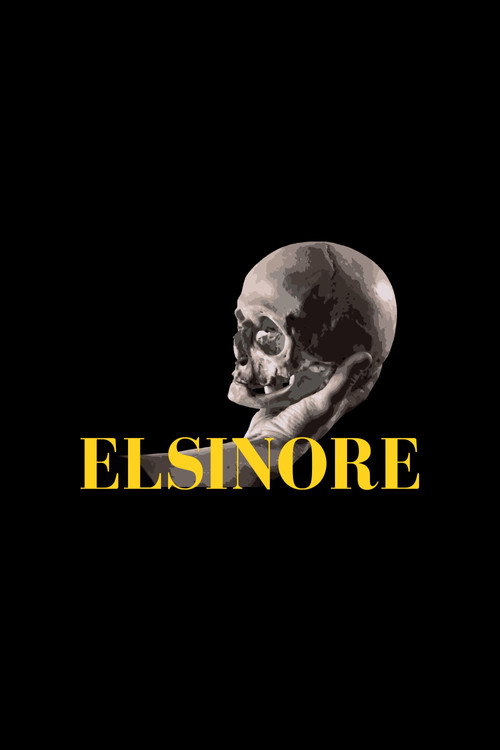 Постер фильма «Elsinore»